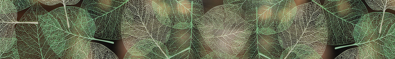Decorative Films