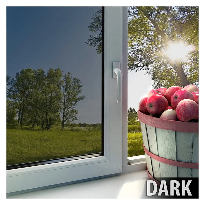BDF EXS15 EXTERIOR Window Film Daytime Privacy and Sun Control Mirror Silver 15 (Dark)